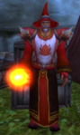 Citadel Wizard