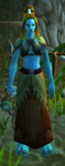Primalist Palaz