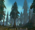 Thumbnail for version as of 18:34, 16 September 2025
