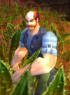 Shipworker Calub