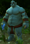 Gor'dosh Butcher