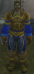 Sir Areyntall