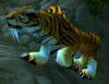 Bengal Tiger