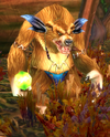 Elder 'One Eye'