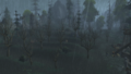 Thumbnail for version as of 18:34, 16 September 2025