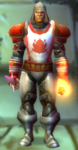 Citadel Watchman