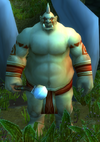 Gor'dosh Shaman