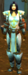 Lieutenant Bravestorm