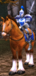 Remnants Knight