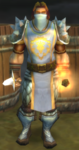 Watchman Damion