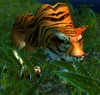 Bengal Matriarch