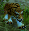 Hazzuri Tiger