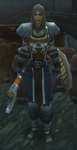Ravenshire Guard